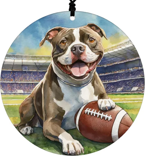 Vista 10 de Adorno de Navidad de Pitbull - Adorno colgante deportivo para el hogar con diseño temático de béisbol - Adorno de disco acrílico 2025 para árbol