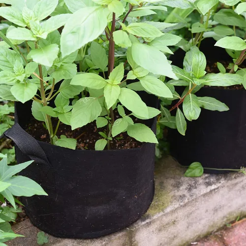 Vista 2 de FiveSeasonStuff Bolsas de cultivo, macetas de tela resistente (paquete de 5 unidades, 25 galones (negras))