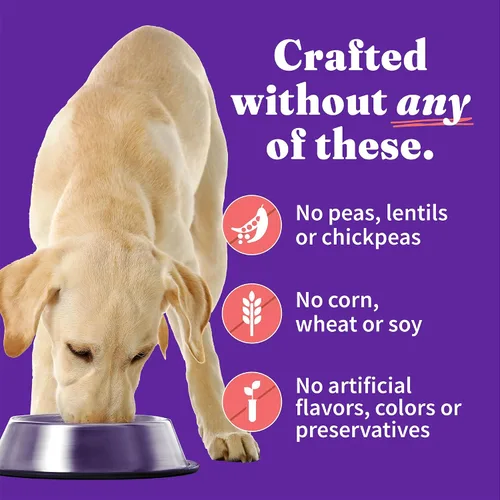 Vista 5 de Halo Elevate - Comida húmeda para perros, hervidor de hervidor de pollo y salmón grueso cocido, comida enlatada de granos saludables para perros