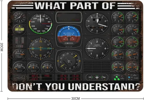 Vista 2 de Letrero de metal grueso y duradero con texto en inglés «What Part of Don't You Understand Pilot», regalos de piloto, decoración de aviación