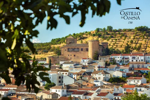 Vista 5 de Castillo de Canena Aceite de Oliva Virgen Extra Primer día de cosecha 2025/2026 Arbequina 16.9 fl oz De España