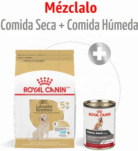 Vista 3 de ROYAL CANIN Labrador Retriever 5+ Alimento seco para perros adultos, bolsa de 28 libras