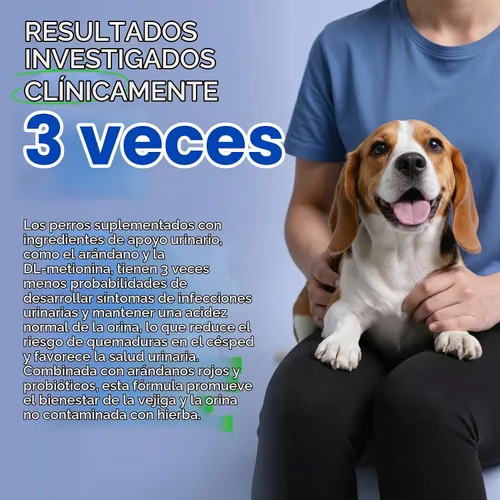 Vista 4 de Masticables para quemar hierbas, neutralizador de orina de perro y protector de césped