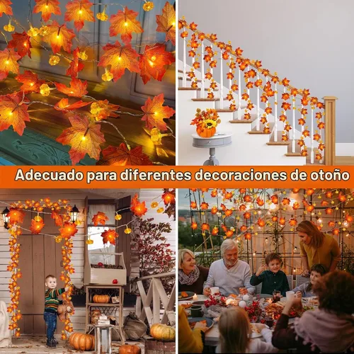 Vista 6 de Temporizador - Paquete de 2 guirnaldas de otoño con luces de calabaza que