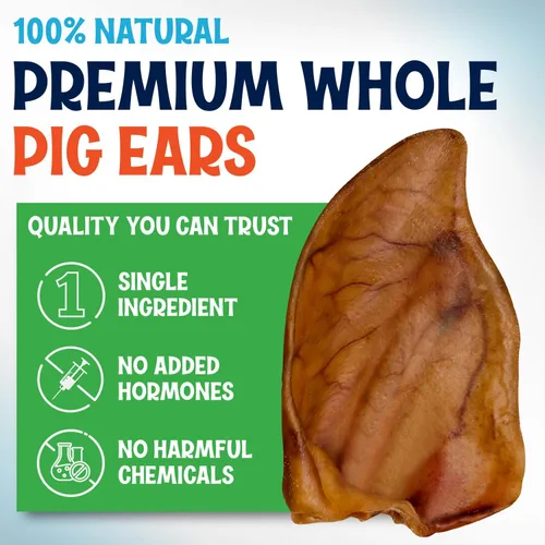 Vista 2 de Orejas de cerdo enteras para perros – Paquete de 15 masticables dentales de larga duración – Un ingrediente delicioso sabor natural golosinas