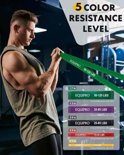 Vista 2 de Bandas de resistencia de Equipro, bandas de ejercicio, bandas de resistencia para entrenar con asas y anclaje de puerta, bandas de entrenamiento