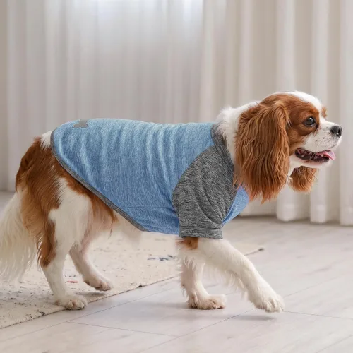 Vista 7 de KYEESE Paquete de 2 camisas para perro con mangas, camisetas ligeras de protección solar de secado rápido para perros pequeños con piel sensible
