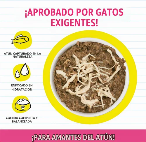 Vista 3 de Weruva BFF - Comida húmeda natural para gatos, atún y pollo 4 Eva en salsa, lata de 3 onzas, paquete de 24