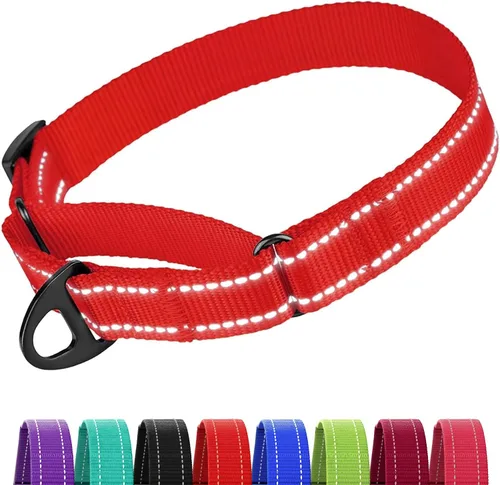 Vista 12 de CollarDirect Martingale - Collar de nailon resistente para perros pequeños, medianos y grandes [nailon, estampado, aguamarina, L, 15-20 pulgadas)