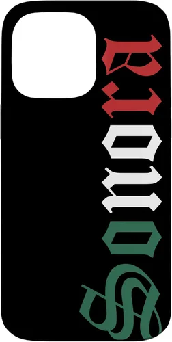 Vista 21 de Sonora Mexico Mexican Flag State Estado Case for iPhone 16