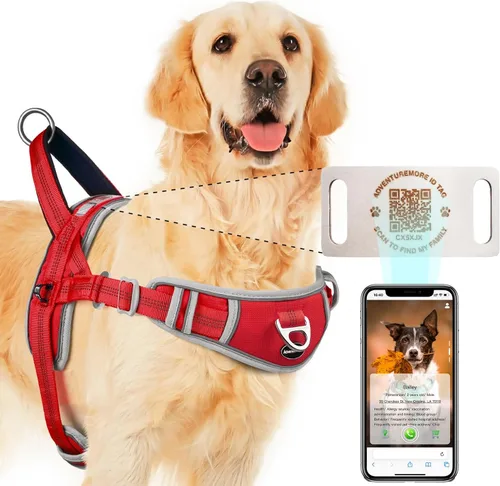 Vista 16 de ADVENTUREMORE Arnés para perro de tamaño pequeño sin tirones con código QR, chaleco reflectante ajustable para perro, arnés para perro a prueba