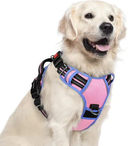 Vista 60 de Rabbitgoo - Arnés para perro de tamaño pequeño, sin tirones, 3 hebillas, fácil de poner y quitar Negro