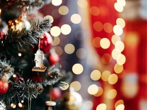 Vista 3 de Idea de regalo para apicultores, regalos de abejas, adornos de Navidad de abeja y apicultor - Viene en caja de regalo por lo que está listo