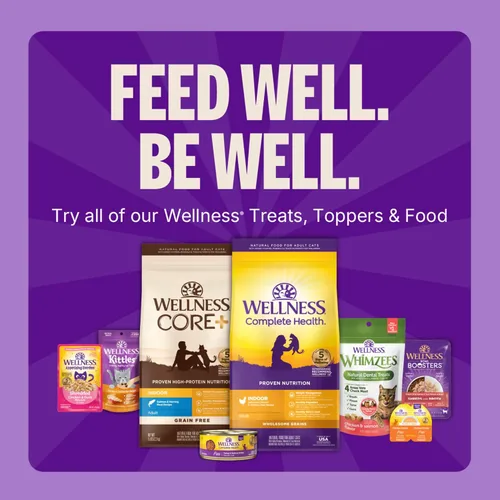 Vista 8 de Wellness Kittles - Snacks crujientes naturales sin granos para gatos, pollo y cranberry, bolsa de 2 onzas