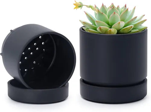 Vista 18 de Phoenix Vine 4 Inch Planter Pot with Drainage Hole & Saucer, Deep Water Catch Tray, Straight Cylindrical Round Pot for Plants, Olive, Pack of 1