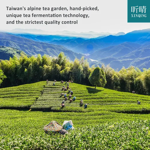 Vista 6 de Xin Qing - Té verde de pólvora, té de pólvora Zhu Cha, té de perlas de hojas sueltas, 7.05 onzas