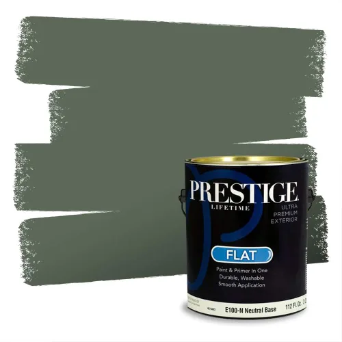 Vista 244 de Prestige Paints - Pintura exterior e imprimación en uno, 1 galón, plano, compatibilidad comparable con el color menta «Whipped Mint» de Behr