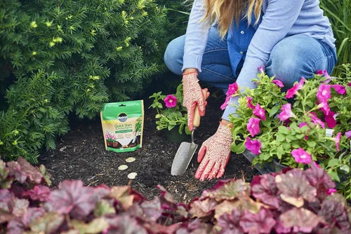 Vista 4 de Miracle-Gro Tabletas de siembra de inicio rápido, 20 tabletas Fertilizante de inicio de plantas para trasplantes de flores, verduras y plantas