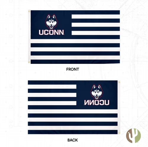 Vista 4 de Desert Cactus Bandera de la Universidad de Connecticut para interiores y exteriores, 100% poliéster, bandera universitaria, 3 x 5 pies Huskies