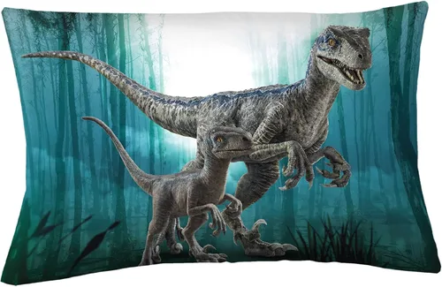 Vista 9 de Franco Ropa de cama para niños de microfibra súper suave, funda de almohada reversible, 20 x 30 pulgadas, Pokémon