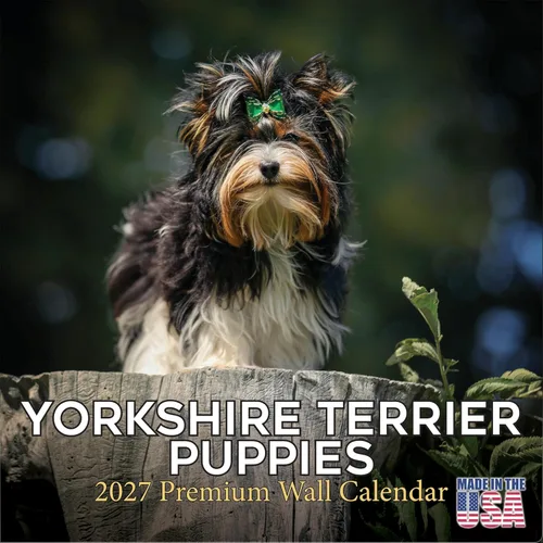 Vista 54 de Calendario de Lebrel Afgano 2025 2026, calendario mensual de pared de raza canina, 12" x 18" abierto, papel grueso sin traspaso, ideal para regalo
