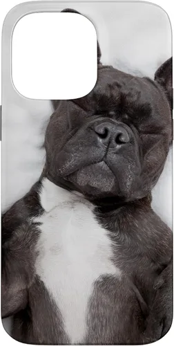 Vista 21 de Carcasa gráfica de Bulldog Francés para iPhone 17