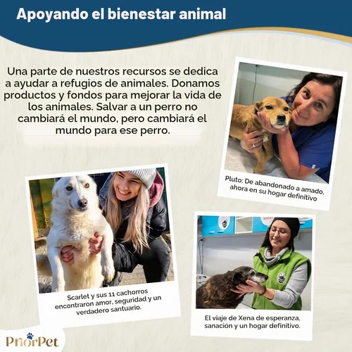Vista 10 de Rampa para perros para sofá, antideslizante, resistente, plegable, soporta hasta 200 libras, ajustable de 7 a 20 pulgadas, plataforma de aterrizaje