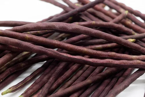 Vista 8 de Purple Yard - Semillas de frijol largo, más de 85 semillas, semillas de frijoles largos asiáticos, semillas de frijoles de espárragos, Phaseolus