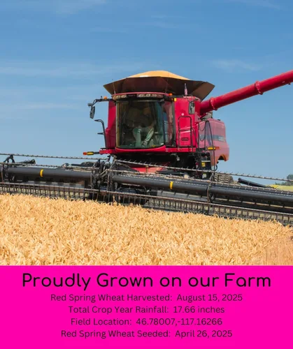 Vista 3 de Palouse Brand - Bolsa de trigo rojo primaveral Proyecto verificado sin OGM 100% no irradiado Certificado Kosher Parve Cultivado en EE.UU.