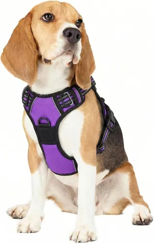 Vista 4 de Funfox Arnés para perro sin tirones, arnés ajustable para mascotas, color negro, S con asa, 2 clips para correa para caminar diariamente, fácil