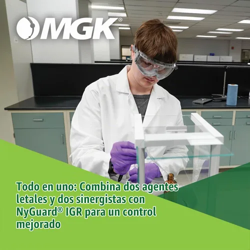 Vista 3 de MGK Shockwave 1 - Aerosol para enjuague, matanza y residual, lata de 17 onzas