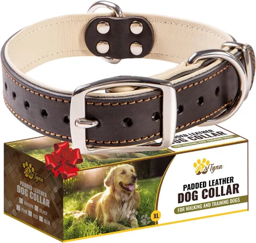 Vista 9 de ADITYNA Collar de perro de cuero negro resistente para perros pequeños, acolchado suave para mayor comodidad, collar de perro pequeño para caminar