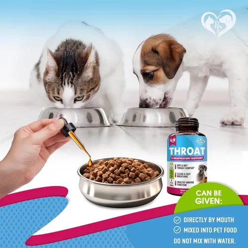 Vista 6 de Tratamiento para la tos de perrera y medicina natural para infecciones para perros y gatos - Alivio respiratorio y para la tos fría - Colapso