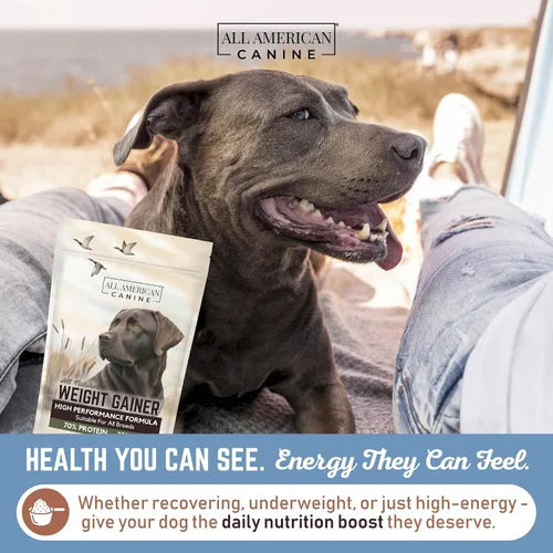 Vista 4 de All American Canine Ganador de peso para perros – Suplemento alimenticio para perros alto en calorías y proteína en polvo para un rápido aumento