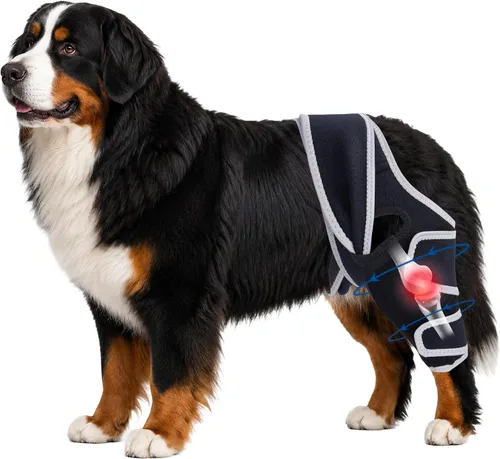 Vista 11 de Dog Knee Brace for Torn Acl Hind Leg, Relieves Ligament Injury and Joint Pain, Adjustable Leg Support Bracket for Warmth and Support, Universal Dog
