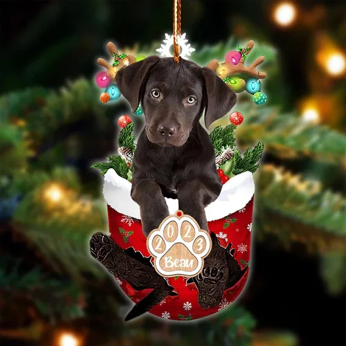 Vista 138 de NAZENTI Adorno Navideño de Bolsillo Personalizado de Affenpinscher en la Nieve, Adorno de Forma Acrílica de Perro, Adorno de Navidad 2023, Adorno