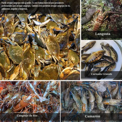 Vista 5 de Drasry Crab Trap Bait Lobster Crawfish Shrimp Portable Folded Cast Net Magic Collapsible Fishing Traps Nets Accessories for Blue Crabs