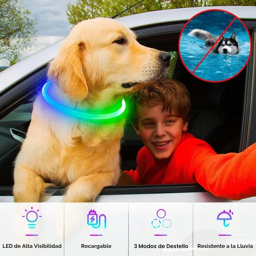Vista 2 de Collares de perro iluminados, collar de perro Dlitk LED recargable por USB, 1 unidad, collar brillante de poliuretano termoplástico para perros