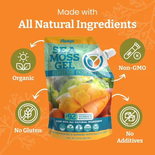 Vista 4 de Yemayá - Gel orgánico de musgo marino con mango Gel de masa marina silvestre mejorado con fruta real, energía, digestión, cabello, piel y uñas