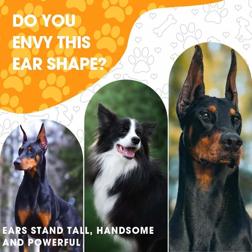 Vista 6 de Juego de 4 unidades de Doberman Oreja Kit para Doberman Pincher Samoyedo con 2 rollos adicionales de cintas para orejas de perro