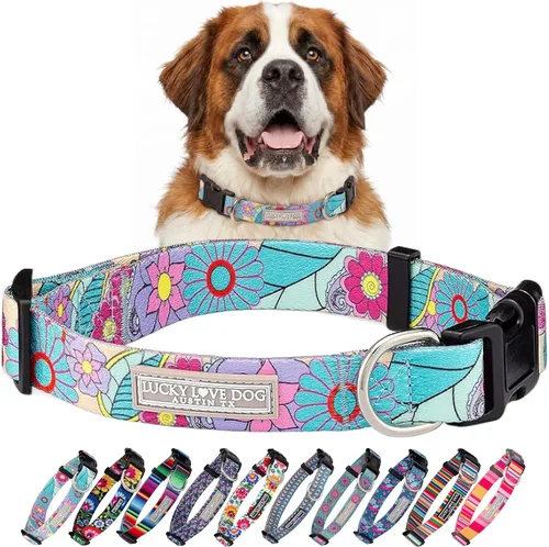 Vista 64 de Lucky Love Dog - Collar para perras pequeñas, diseño Blackbird de estampado alegre con flores de primavera y verano, talla XS Collar Blackbird