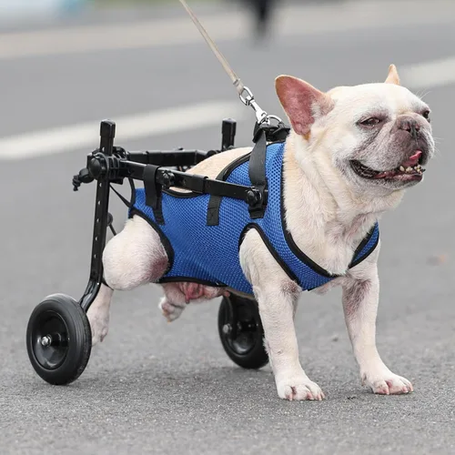 Vista 5 de Silla de ruedas ajustable para perros pequeños - Ayuda de movilidad para mascotas discapacitadas, Silla de ruedas para perros pequeños para patas