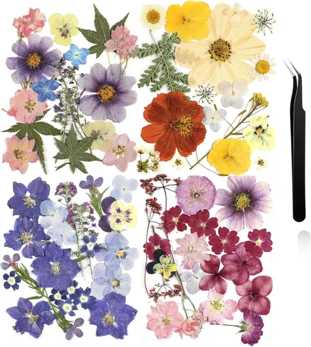 Vista 14 de Nuanchu Flores secas prensadas negras para manualidades, flores secas góticas, flores silvestres prensadas naturales a granel con pinzas para molde