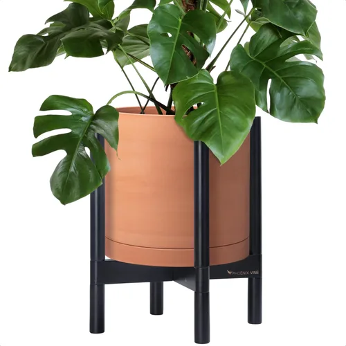 Vista 79 de D'vine Dev Maceta de cerámica con soporte de ébano – Maceta redonda moderna de 8 pulgadas con soporte para maceta de madera, color negro, 55-B-M-2