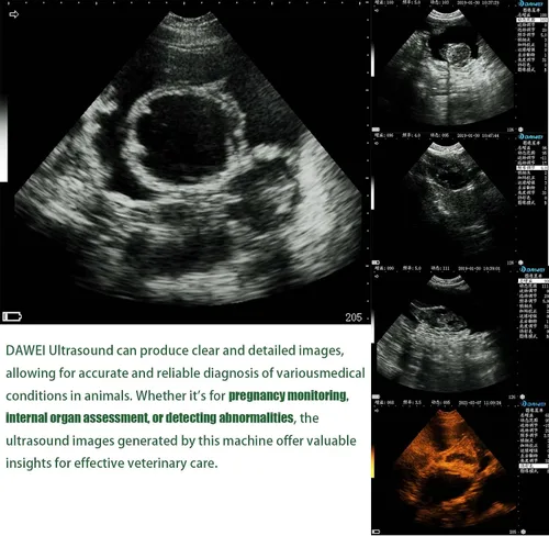 Vista 6 de DAWEI - Máquina de ultrasonido veterinaria para embarazo, escáner portátil de mano para veterinarios, ultrasonido B ligero con sonda impermeable