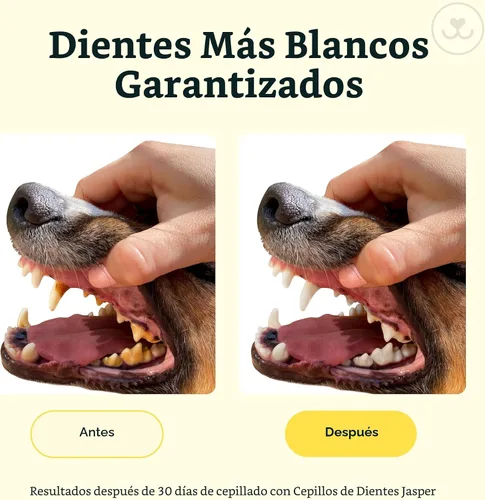 Vista 3 de Jasper Cepillo de dientes para perros, cepillo de dientes de dedos de 360° Azul (paquete de 10)