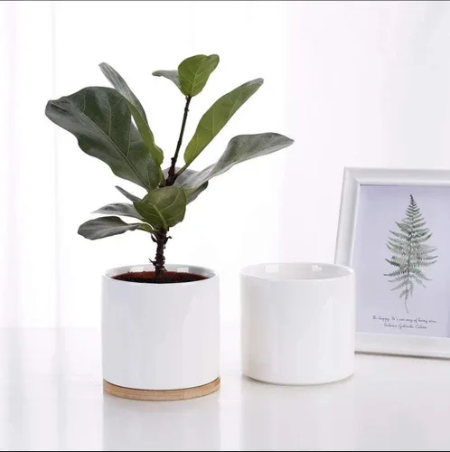 Vista 7 de Juego de 2 macetas para interiores y exteriores, maceta de cerámica de porcelana de 4.5 pulgadas con orificio de drenaje y bandeja de bambú (negro)