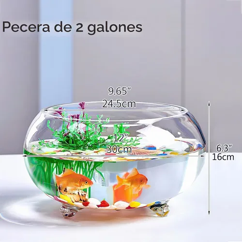 Vista 6 de Tanque de peces de vidrio de 2 galones, resistente y agradable pecera Betta, pequeños acuarios para pequeños peces ornamentales y reptiles, vidrio