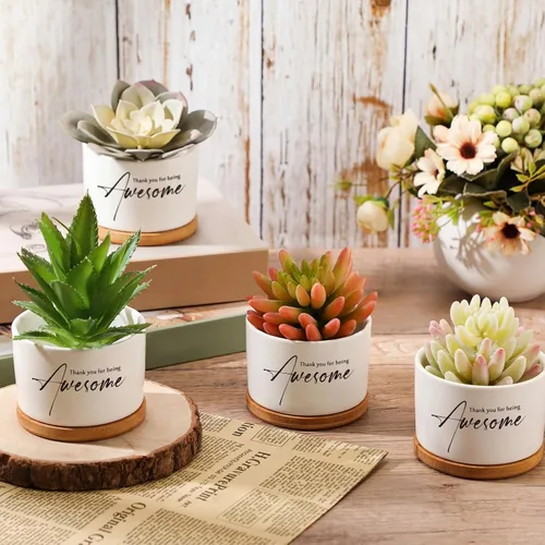 Vista 3 de Paquete de 12 mini macetas de cerámica con bandeja de bambú para decoración de escritorio para empleados, enfermeras, oficina, equipo, decoración