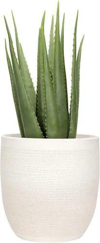 Vista 5 de Creative Co-Op - Maceta grande de cerámica blanca mate con relieve Blanco mate